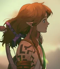 Totk Link -Roommate-