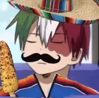 Todoroki Mexicano 