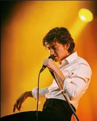 Alex Turner