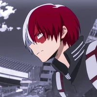 Shoto todoroki