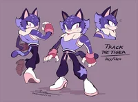 Track the tiger