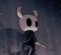 The Hollow Knight