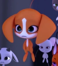 Bark