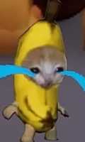 Banana Cat