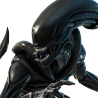 Xenomorph