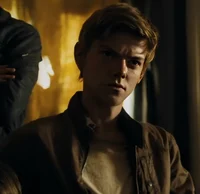 Newt