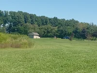 Insect and Animal RP