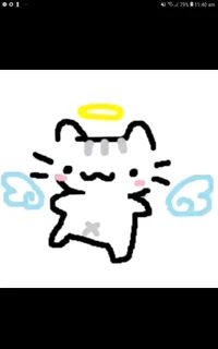 Angel Cat