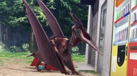 Rodan Form two