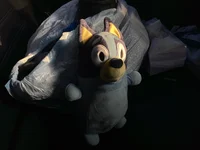 The big nice Bluey