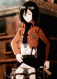 Mikasa