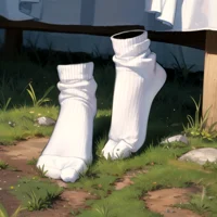 Socks