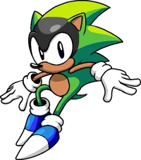 Ashura The Hedgehog