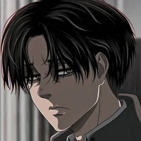 Levi