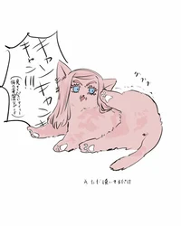 Sanzu Haruchiyo cat