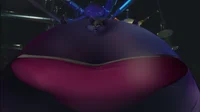 Blueberry Rouge