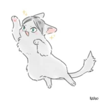 Lev Haiba CATWORLD_5