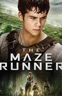 The maze