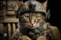 CAT WAR RPG