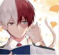 Shoto Todoroki