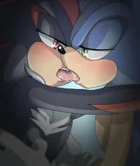 Sonic x shadow