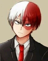 Shoto Todoroki