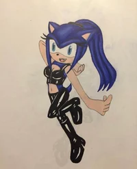Nebula The Hedgehog