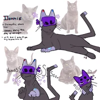 Cat Donnie