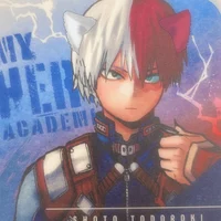 Shoto Todoroki