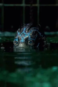 The Shape Of Water