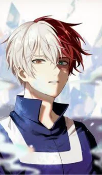 Todoroki shoto