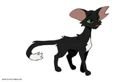 Ravenpaw