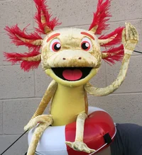 Axl the axolotl