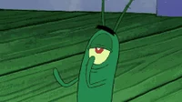 plankton