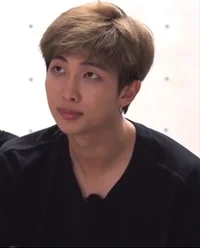 Kim Namjoon 