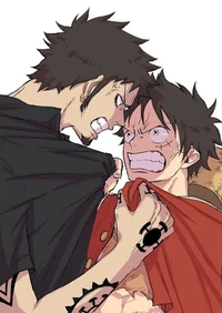 Law and Luffy