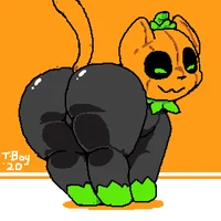 Diapered Pumkat 