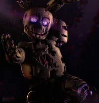 Spring trap