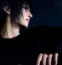 Noctis Lucis Caelum