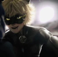 Chat noir
