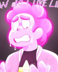 Future Steven