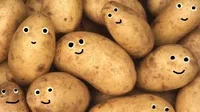 Potato