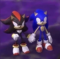 Sonic and shadow