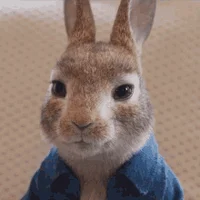 movie peter rabbit