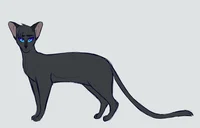 Crowfeather