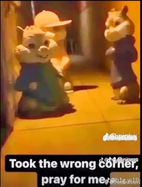 tookthewrongcornerpr