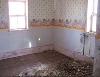 Give this home a try