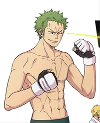 The boxer zoro