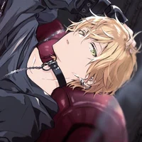 Criminal Akito