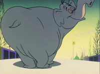 Dolores the Elephant